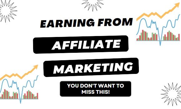 earning from affiliate networks portfolio