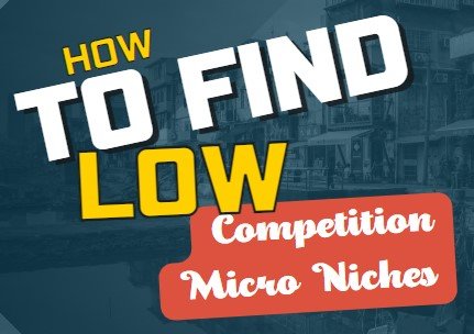 how to find low level micro niches